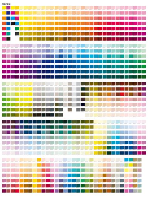 Guía Pantone Paletas De Pintura Paleta De Colores Rgb Carta Pantone
