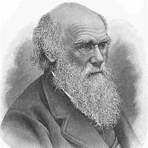 Facts About Charles Darwin Factopolis