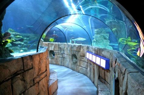 The Sea Life Aquarium At Legoland California