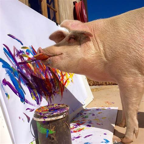 Meet Pigcasso The Painting Pig Who Already Sold A Painting For