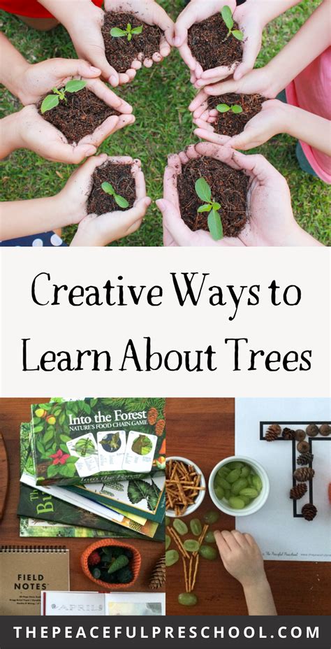 Outdoor Science Homeschool Curriculum Learning All About Trees Through