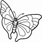 Butterfly Coloring Printables Printable sketch template