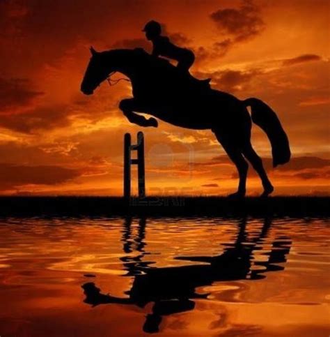 Looking for a good deal on silhouette jump? Horse jump at sunset with the horse and rider reflected in ...