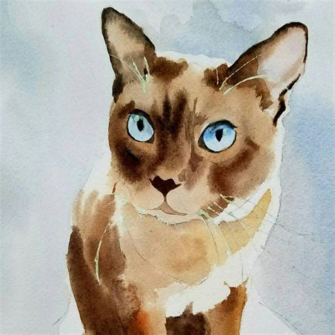 Tonkinese Tonk Siamese Cat Art Print Of A Watercolor