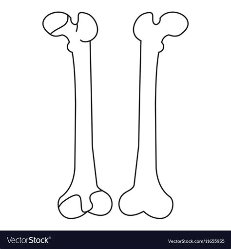 Bone Icon Outline Style Royalty Free Vector Image