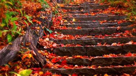 Autumn Steps Fall Foliage Leaves Wallpaper 1920x1080 524349