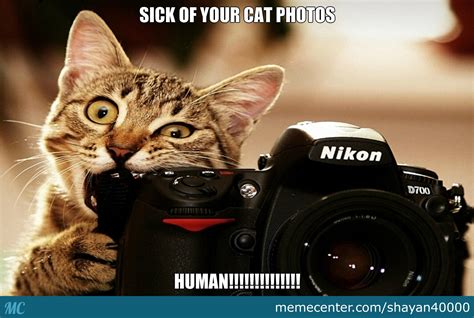 Sick Of Your Cat Memes Human By Shayan40000 Meme Center