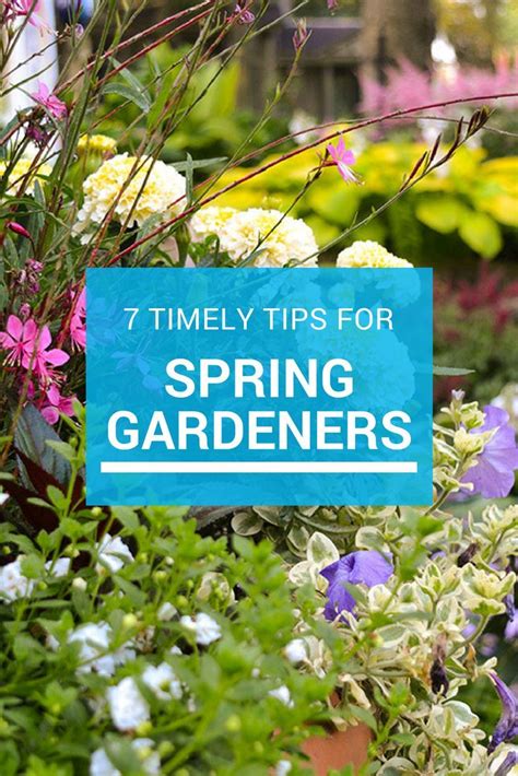 These Top Spring Gardening Tips Will Help Keep You Educated And On Top