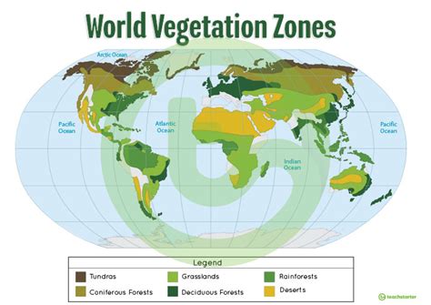 World vegetation descriptions a world vegetation map shows information about where plants grow. Map of the World's Vegetation Zones Teaching Resource - Teach Starter