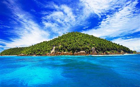Tropical Ocean Island Forest With Trees Palm Beach Summer Blue Sky Hd Wallpaper