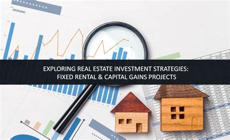 Exploring Real Estate Investment Strategies Faizan Barai