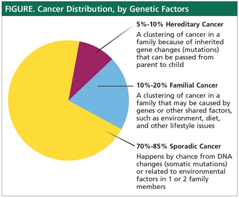 Patients Roadmap To Genetic Counseling And Testing What Should You