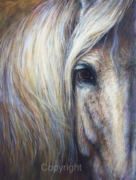Horse Art Print Of Soulful Eye On Canvas Or Paper Of Aramis Horse