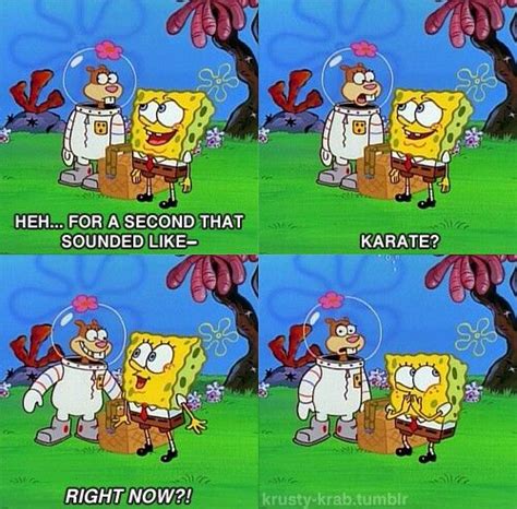 Karate Spongebob Spongebob Squarepants Cartoon Shows