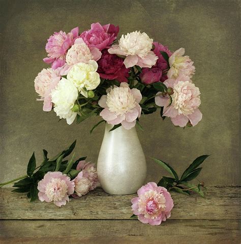Peonies In Vase Photograph By Sergey Ryumin Fine Art America