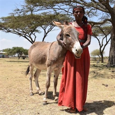 Dehydration And Starvation For Animals And People In Turkana Help Oipa