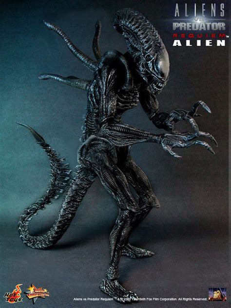 Hot Toys Alien Vs Predator Ubicaciondepersonascdmxgobmx