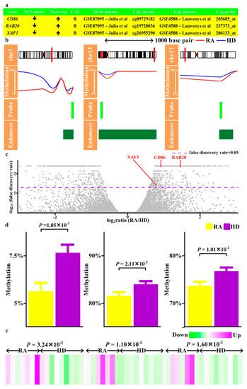 Jcm Free Full Text Sex Differences Are Here To Stay Relevance To 44672