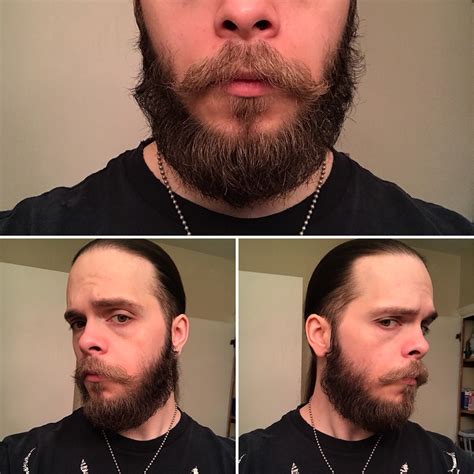 30yrs old second time growing a beard week 52 going for a yeard page 4 beard board