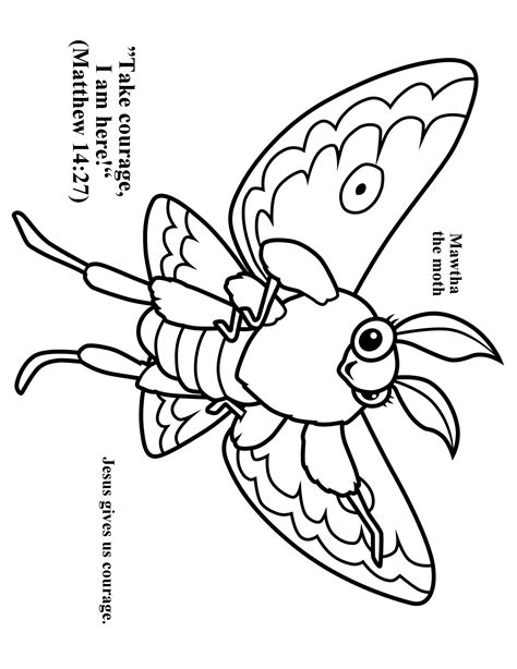 Download or print this amazing coloring page. Pindi Moth coloring, Download Pindi Moth coloring for free ...