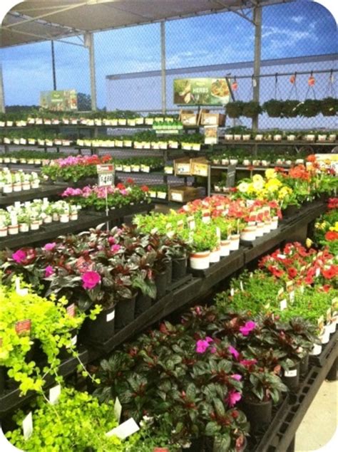 Unable to change shift from working until close every shift. Garden Center at Walmart | Garden center, Garden center ...
