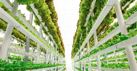 Vertical Farming For Supply Chain Efficiency Logistics Viewpoints