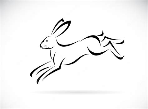 Premium Vector Vector Of Rabbit Running Design On White Background