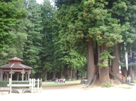 Sequoia Park Zoo Eureka Aktuelle 2021 Lohnt Es Sich Mit Fotos