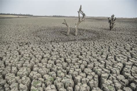The Maharashtra Drought Could Have An Impact On The Ipl Which Is Not
