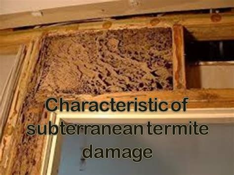 We provide the best services in the industry at value for. National Committee on Urban Pest Control Training ...