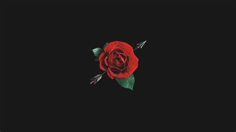 Red Rose Aesthetic Computer Wallpapers Top Free Red Rose Aesthetic