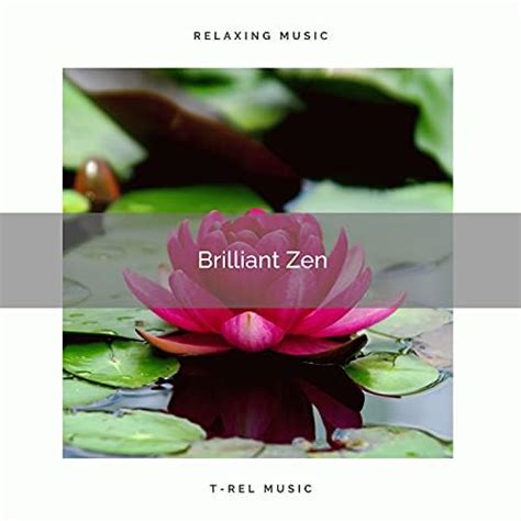 brilliant zen von sounds of nature white noise for mindfulness meditation and relaxation bei