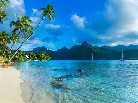 Moorea Travel Guide A Condensed Polynesian Land Polynesia Paradise