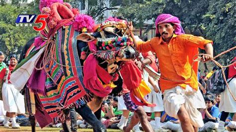 People Enjoying Traditional Village Games Sankranti Celebrations In