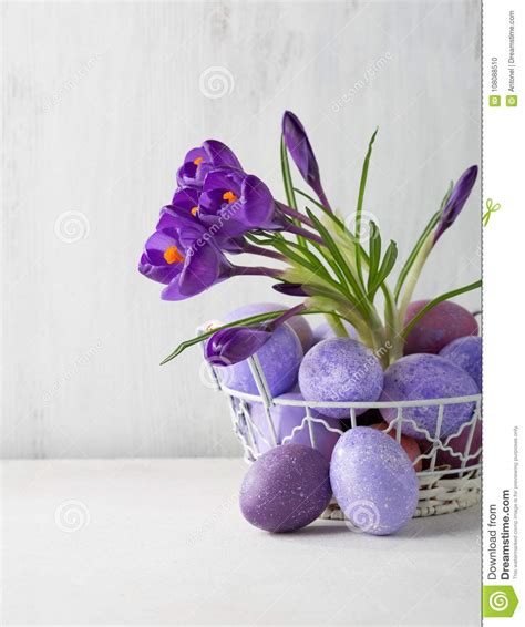 Easter Still Life With Colored Eggs And Flowers Crocus Stock Photo