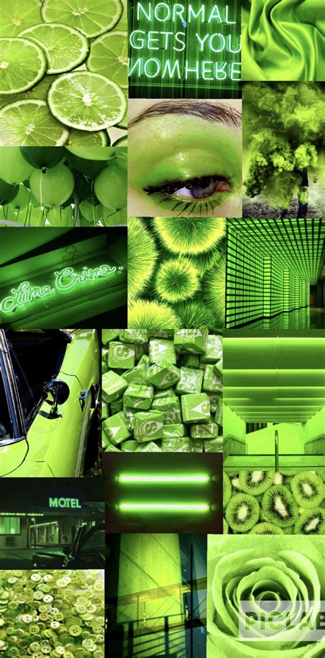 Super Light Green Aesthetic Collage