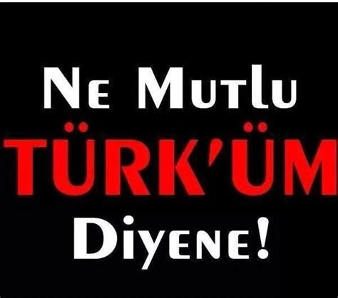 TANERUNAL on Twitter 88 Bu anlamda Türk dil soy tarih kültür