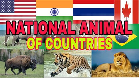 National Animals Of Countries Flogs And Countries Name With National