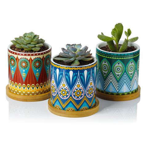 Ceramic Pots For Succulents 15 Beautiful Options Of 2022 Planter
