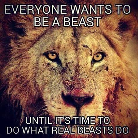Lionheart Inspirational Quotes Motivation Lion Quotes
