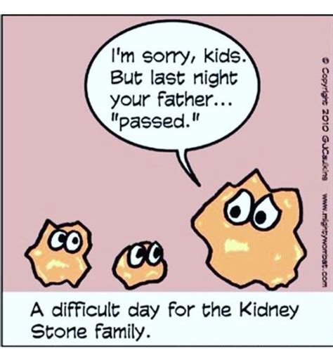 A Little Kidney Stone Humor Kidney Stones Funny Medical Humor