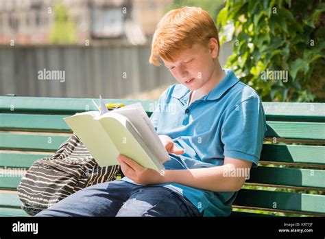 Schoolboy Reading Book Stock Photo Alamy