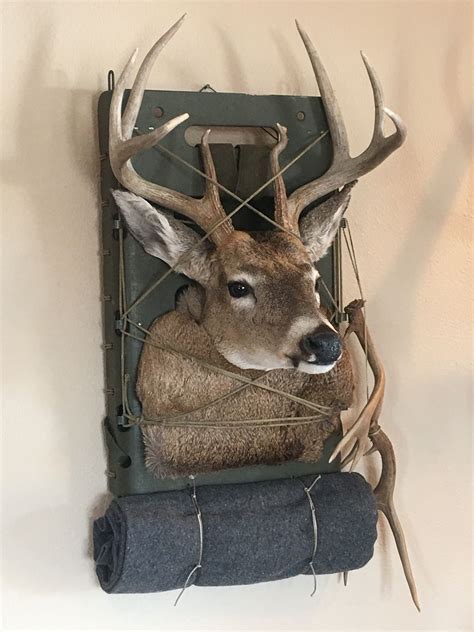 Captain S Classic Whitetail Deer Taxidermy Pack Mount For Sale Ubicaciondepersonas Cdmx Gob Mx