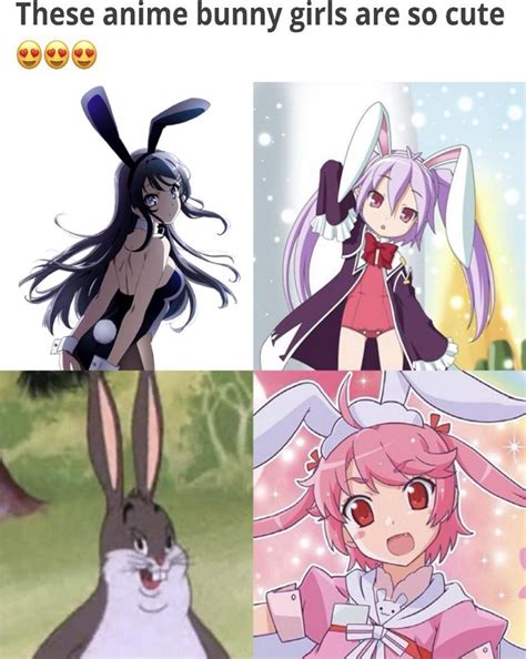 Anime Bunny Girls By Invaderzim32 On Deviantart