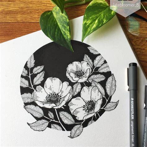 Portfolio — Floral Illustrations Made Easy Ink Pen Art Pen Art