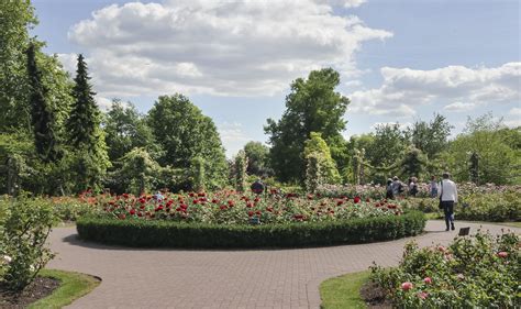 Queen Marys Rose Gardens Regents Park Kotomi Flickr
