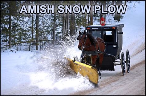 Amish Snow Plow Amish Humor Pinterest Snow Plow