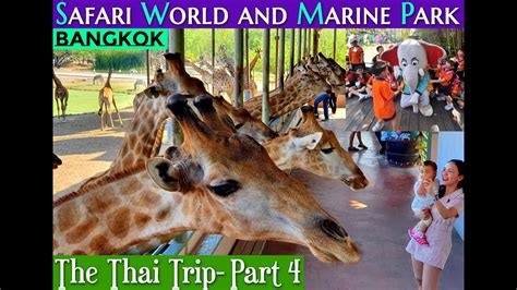 Safari World And Marine Park 2020 Full Day Travel Guide Bangkok