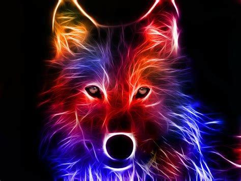 Colorful Illuminated Wolf Wallpaper 3d 4234923 1600x1200 All For