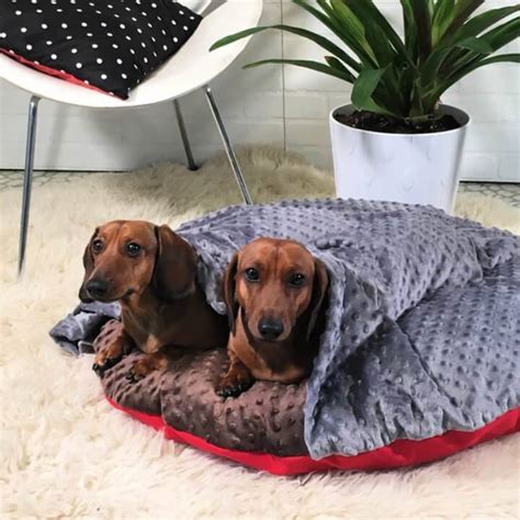 15 Free Dog Bed Patterns That Are Easy To Sew Diy Crafts